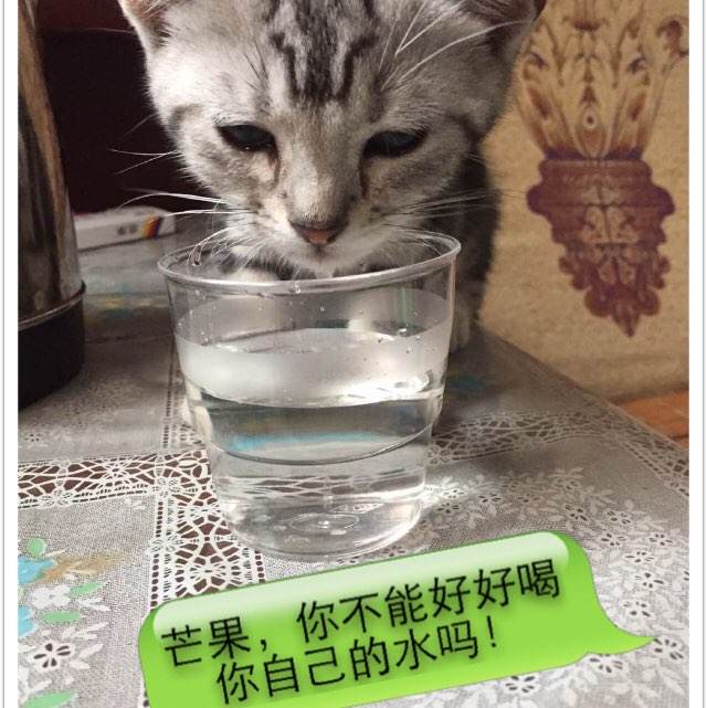 日本学历认证